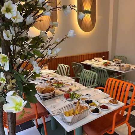 Lord Morgan&exclusive Design Nişantaşı İstanbul